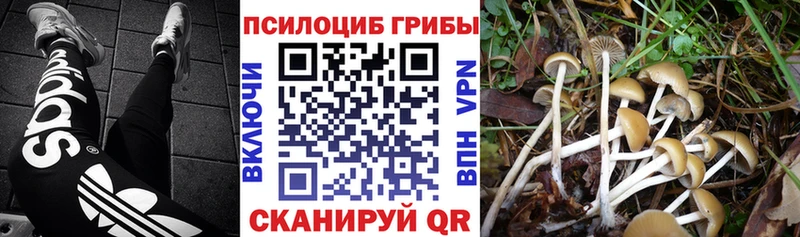 МЕГА маркетплейс  Курган  Галлюциногенные грибы MAGIC MUSHROOMS 